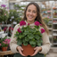 1 Large Plant - Geranium Calliope Deep Rose, Outdoor Garden Ready, 2L Pot