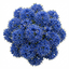 1 Ceanothus Skylark Plant, Hardy Blue Flowering Evergreen Shrub, California Lilac, 3 Litre Root-Ball