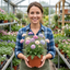 Set of 3 or 6 Knautia Macedonica Melton Pastels Plants, Bee-Friendly Hardy Perennial Scabious, Summer Flowering, 11cm or 1L Root Ball