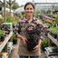 1 Sambucus Nigra Black Lace Elderberry Plant, Outdoor Hardy Perennial Garden Shrub, 3 Litre Root Ball