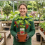 1 Redcurrant Jonkheer Van Tets Fruit Bush, Hardy Outdoor Garden Ready, 2 Litre Root Ball