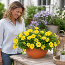 Petunia Bees Knees Plants