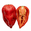 Set of 3 or 6 Large Chilli Pepper Plants - Armageddon, Ready to Plant in Your Garden