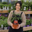 1 Supersteak Beefsteak Tomato Plant, Large High Yield Hardy Outdoor Garden Ready, 2 Litre Root Ball