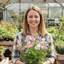 Set of 3 or 6 Large, Garden Ready Plants - Sweet Pea Cupid Mix, 10.5 cm Rootballs