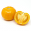1 Golden Sunrise Tomato Plant, Live Heirloom Yellow Tomato, Outdoor Garden Ready, 2 Litre Root Ball