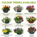 7 Fresh Culinary Herbs Plant