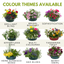 Herb Alfresco Mixed SpeedPlanter – 7 Fresh Culinary Herbs, Garden Ready