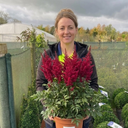 Astilbe Music Series Red Plant (5L Pot)