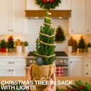 Christmas tree in sack with lights Plant