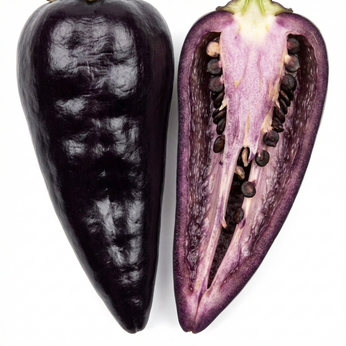 Chilli 'Zimbabwe Black' – Ornamental Chilli Pepper (Set of 3 or 6)