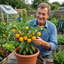 Set of 3 or 6 Large Plants - Sweet Pepper Snack Yellow, Ready to Plant in Your Garden