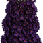 1 Buddleia Black Knight Plant, Purple Butterfly Bush, Hardy Outdoor Garden Shrub, 2L Root-Ball