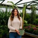 Banana Tree 3L (100–120 cm Tall)