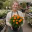 1 Large Plant - Marigold African Taishan Orange, Outdoor Garden Ready, 2L Pot