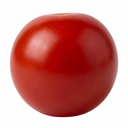 Tomato Losetto Variety Plants (Set of 3 or 6)