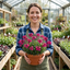 Set of 3 or 6 Large Plants - Arabis Barranca Deep Rose, Ready to Plant in Your Garden, 1L