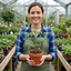 Set of 3 or 6 Large Plants - Tomato Gardeners Delight Variety, Ready to Plant in Your Garden