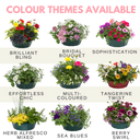 7 Colour Coordinated Plants - Bridal Bouquet Theme Speedplanter, Garden Ready