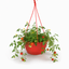 1 Tumbling Tom Red Trailing Tomato Plant, Outdoor Garden Ready, 25cm Root Ball, Hanging Basket