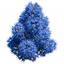 1 Ceanothus Yankee Point California Lilac Plant, Blue Flowering Evergreen Shrub, 3L Root-Ball