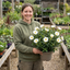 1 Cistus Thrive Rock Rose Plant, Hardy Evergreen Flowering Shrub, 3 Litre Root Ball