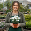 Set of 3 or 6 Large Plants - Dianthus Oscar White, Outdoor Garden Ready