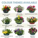 7 Colour Coordinated Plants - Effortless Chic Theme Speedplanter, Garden Ready