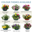 7 Colour Coordinated Plants - Effortless Chic Theme Speedplanter, Garden Ready