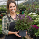Polemonium Bressingham Purple Plant (3L Pot)