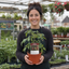 1 Consuelo Cherry Tomato Plant, High Yield Live Vegetable, Outdoor Garden Ready, 2 Litre Root Ball
