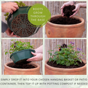 7 Fresh Culinary Herbs Plant