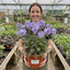 1 Polemonium Heaven Scent Flowering Plant, Hardy Perennial for Cottage Garden, Bee Friendly, 3 Litre Root Ball