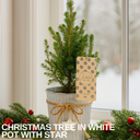 Christmas tree in white pot with star Plant