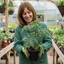 Set of 3 or 6 Grafted Cornabel Tomato Plants, Premium Live Plants, Outdoor & Greenhouse Ready, 1L Root Ball