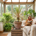 Cordyline Eurostripe Plant (3L Pot)