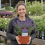 1 Nepeta Faassenii Walkers Low Catmint Plant, Bee Friendly Hardy Perennial, 3 Litre Root Ball