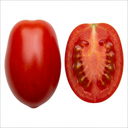 Premium Grafted Trilly Tomato Plants (Set of 3 or 6)