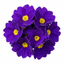 Set of 3 or 6 Primrose ‘Queen Neon Violet’ Hardy Perennial Plants, Bee Friendly Spring Flowering, Outdoor Garden Ready, 1 Litre Root-Ball