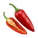 Grow Your Own Chilli Pepper Apache Plants (Set of 3 or 6)