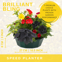 7 Colour Coordinated Plants - Brilliant Bling Theme Speedplanter, Garden Ready