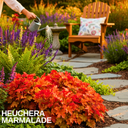 Heuchera Marmalade Plant (2L Pot)
