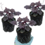 Set of 3 or 6 Heuchera Palace Purple Coral Bells Plants, Hardy Evergreen Perennial, Shade Tolerant Garden Plants, Outdoor Garden Ready, 1 Litre Root-Ball
