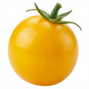 Tomato Tumbling Tom Yellow Plants (Set of 3 or 6)