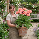 Oriental Papaver Waltzing Elisabeth Plant