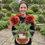 1 Oriental Papaver Bolero Perennial Poppy Plant, Summer Flowering, Garden Ready, 3 Litre Root Ball