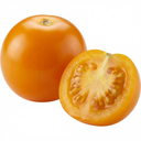 Premium Grafted Stargold Cherry Tomato Plants (Set of 3 or 6)