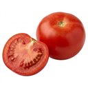 Alicante Tomato Plants