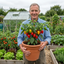 Set of 3 or 6 Large Chilli Pepper Plants - Scotch Bonnet, Ready to Plant in Your Garden
