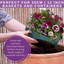 7 Colour Coordinated Plants - Berry Swirl Theme Speedplanter, Garden Ready